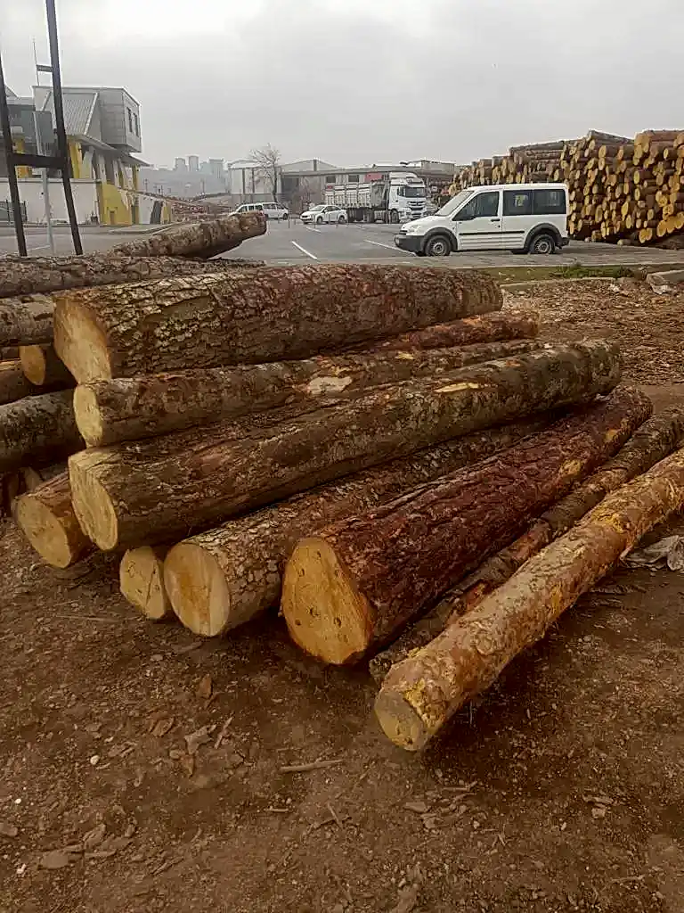 inşaatlık kereste