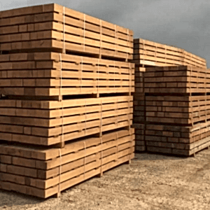 iroko-04